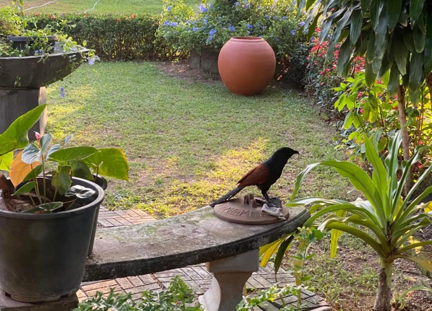 The Garden Gate Resort & Apartments No 01 Negombo