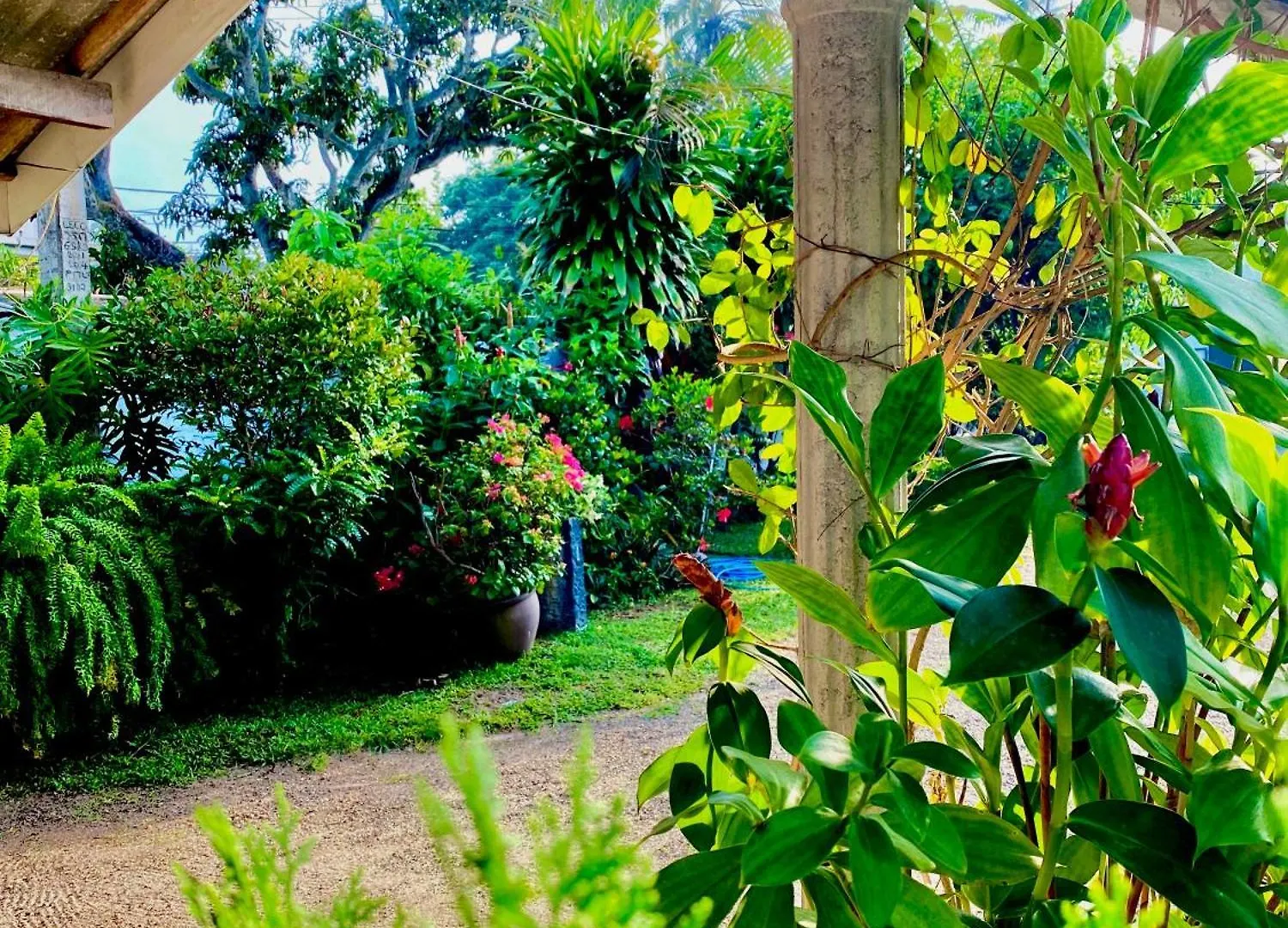 The Garden Gate Resort & Apartments No 01 Negombo